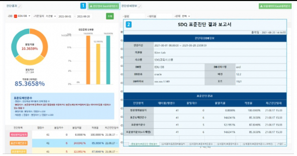 SDQ 표준진단 결과 화면 및 보고서