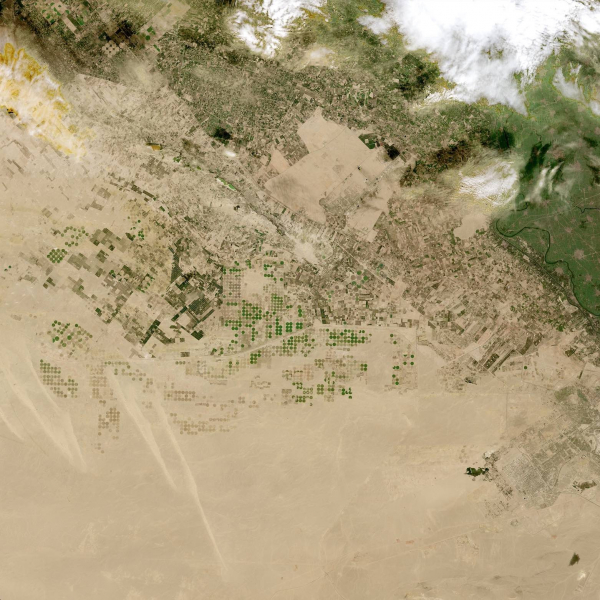 이집트 카이로에서 북서쪽으로 80km 떨어진 사닷 시 근처 관개된 농지 위성 사진(출처: NASA IMPACT)